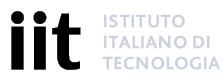 Logo Italian Institute of Technology